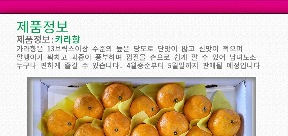 제주넷 선물용 카라향