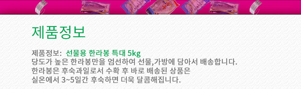 제주명품 한라봉선물세트