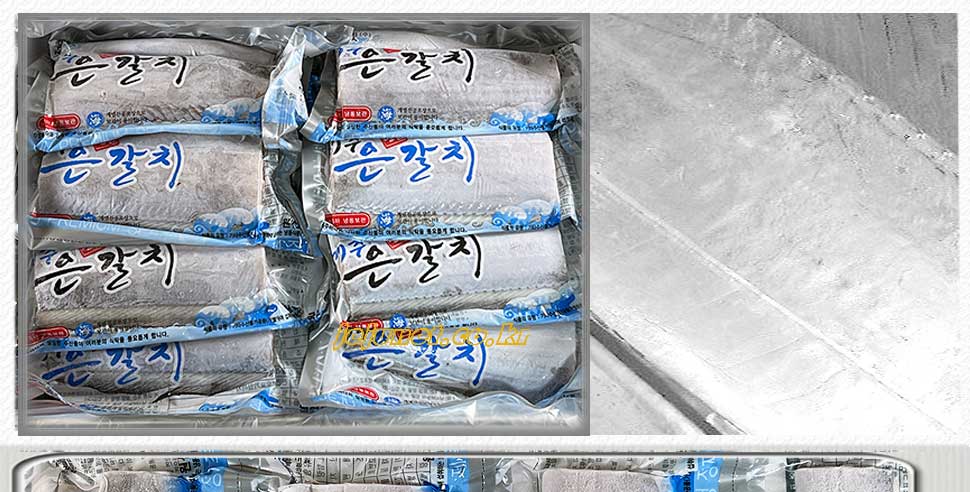 프리미엄 선물세트 제주은갈치 왕특대(마리당 700g이상) 5마리